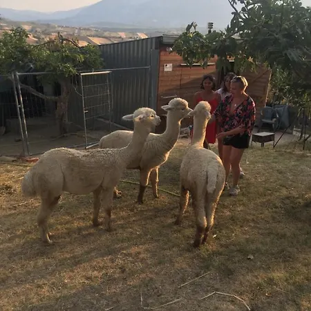 Alpacafarm Abruzzovakantie * Sant'Eusanio del Sangro
